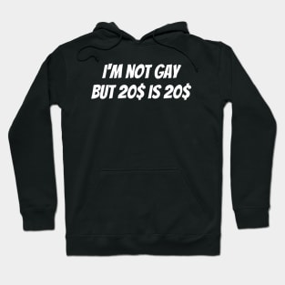 I'm not gay but 20 dollars is 20 dollars Hoodie